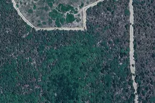 SW 15 Pl, Ocala, FL 34481 - Photo 1