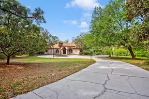 7333 Royal Oak Dr, Spring Hill, FL 34607 - Photo 58