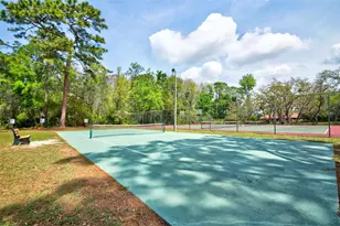 7333 Royal Oak Dr, Spring Hill, FL 34607 - Photo 82