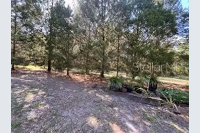 5512 S Bob White Drive, Homosassa, FL 34446 - Photo 44