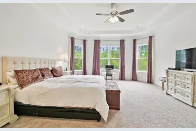 29356 Ginnetto Drive, Wesley Chapel, FL 33543 - Photo 10