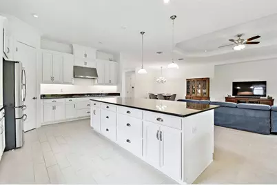 29356 Ginnetto Drive, Wesley Chapel, FL 33543 - Photo 4