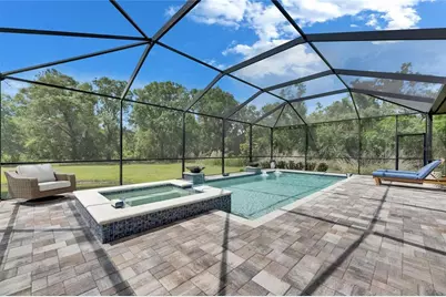 14421 Swiss Bridge Drive, Lithia, FL 33547 - Photo 88
