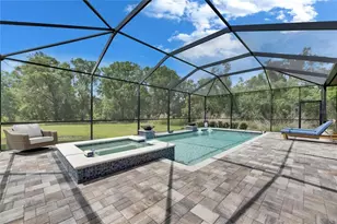 14421 Swiss Bridge Dr, Lithia, FL 33547 - Photo 88