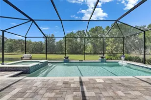 14421 Swiss Bridge Dr, Lithia, FL 33547 - Photo 88