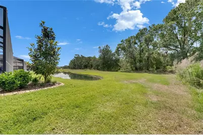 14421 Swiss Bridge Drive, Lithia, FL 33547 - Photo 90