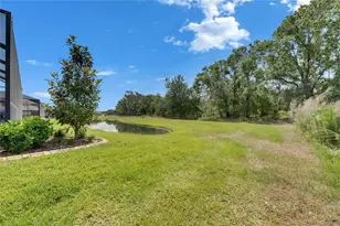 14421 Swiss Bridge Dr, Lithia, FL 33547 - Photo 90