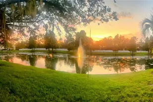 3611 Pine Knot Dr, Valrico, FL 33596 - Photo 54