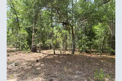 10804 N Adler Dr, Citrus Springs, FL 34434 - Photo 4