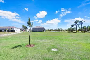32978 Tulip Petal Ln, Wesley Chapel, FL 33545 - Photo 26
