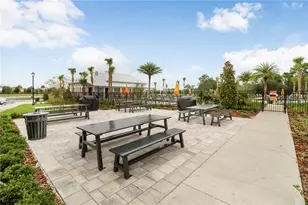 32978 Tulip Petal Ln, Wesley Chapel, FL 33545 - Photo 38
