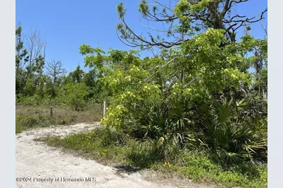 3714 Myers Lane, Saint James City, FL 33956 - Photo 4