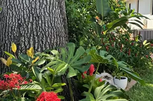 6213 12th Ave S, Gulfport, FL 33707 - Photo 34