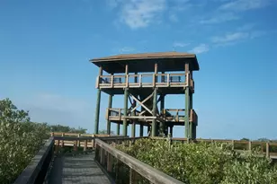 7033 123rd St, Seminole, FL 33772 - Photo 34