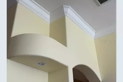 17127 Brown Road, Odessa, FL 33556 - Photo 20