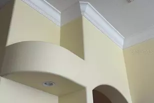 17127 Brown Rd, Odessa, FL 33556 - Photo 20