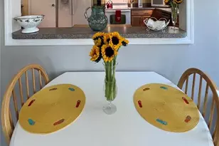 7803 46th Ave N, Saint Petersburg, FL 33709 - Photo 20