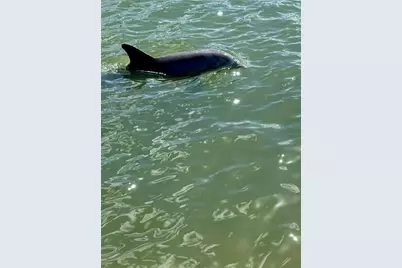 7700 Sun Island Drive S #506, South Pasadena, FL 33707 - Photo 4