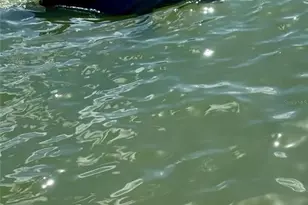 7700 Sun Island Dr S, South Pasadena, FL 33707 - Photo 4