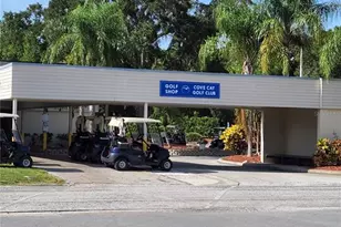 2616 Cove Cay Dr, Clearwater, FL 33760 - Photo 48