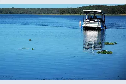 1218 Gillespie Drive N, Palm Harbor, FL 34684 - Photo 28