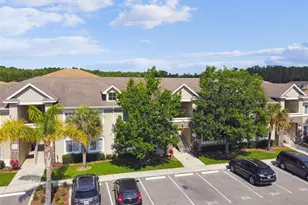 1231 Godavari Wy, Wesley Chapel, FL 33543 - Photo 68