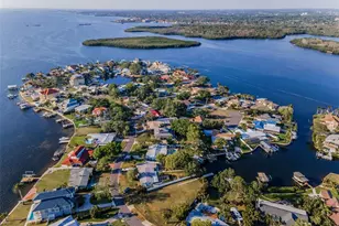 117 Carlyle Dr, Palm Harbor, FL 34683 - Photo 18