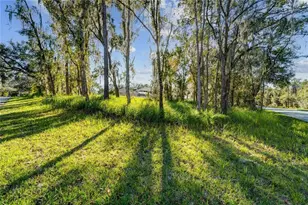 12505 Lake Hills Dr, Riverview, FL 33569 - Photo 1