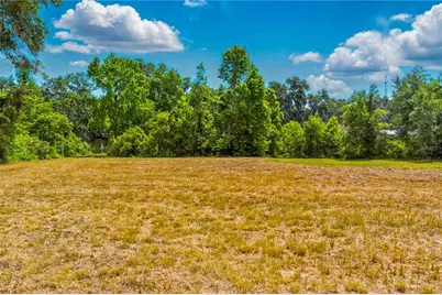 36730 Ob Won Way, Dade City, FL 33525 - Photo 6