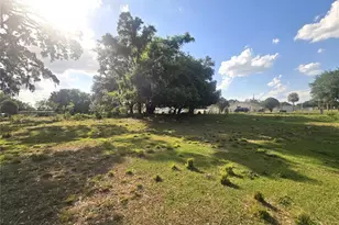 3101 Medulla Rd, Plant City, FL 33566 - Photo 76