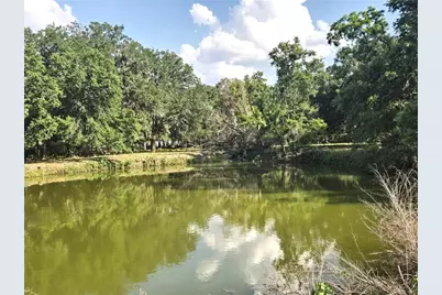 3101 Medulla Road, Plant City, FL 33566 - Photo 74