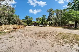 13907 Raulerson Rd, Riverview, FL 33569 - Photo 8