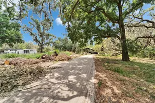 13907 Raulerson Rd, Riverview, FL 33569 - Photo 6