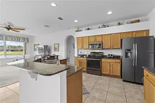 29432 Coharie Loop, San Antonio, FL 33576 - Photo 18