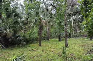 Lot #2 Coconut Cove Pl, Valrico, FL 33596 - Photo 1