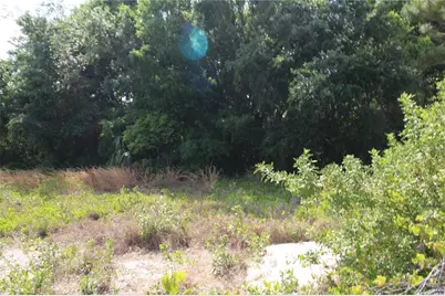 Old East Lake, Tarpon Springs, FL 34688 - Photo 8