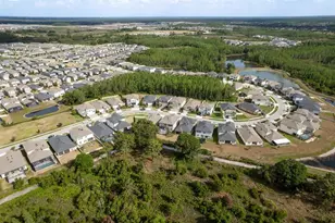 21590 Violet Periwinkle Dr, Land O Lakes, FL 34637 - Photo 60