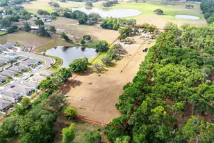 36601 Roberts Rd, Dade City, FL 33525 - Photo 68