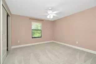 28516 Tranquil Lake Cir, Wesley Chapel, FL 33543 - Photo 24