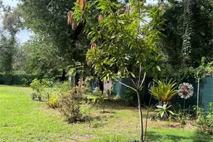 10502 Atlee St, New Port Richey, FL 34654 - Photo 54