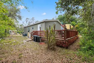 10502 Atlee St, New Port Richey, FL 34654 - Photo 10