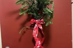 1799 N Highland Ave, Clearwater, FL 33755 - Photo 2