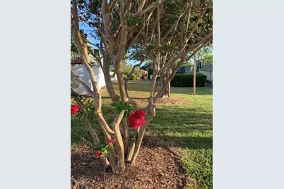 1799 N Highland Avenue #170, Clearwater, FL 33755 - Photo 18
