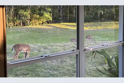 4012 Woodacre Lane, Tampa, FL 33624 - Photo 32