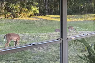 4012 Woodacre Ln, Tampa, FL 33624 - Photo 32