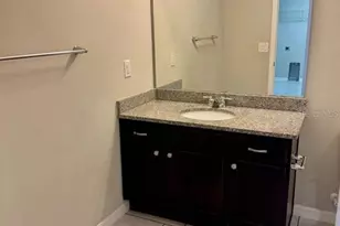 6325 Yellow Buckeye Dr, Riverview, FL 33578 - Photo 10