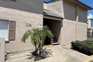 7526 Needle Leaf Pl, Tampa, FL 33617 - Photo 1