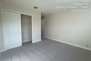 32249 Tribeca Ave, Wesley Chapel, FL 33543 - Photo 16