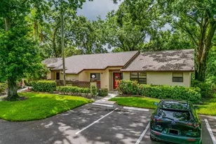 2910 Star Apple Ct, Palm Harbor, FL 34684 - Photo 1