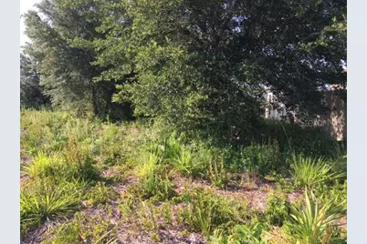 2705 59th Street W, Lehigh Acres, FL 33971 - Photo 6